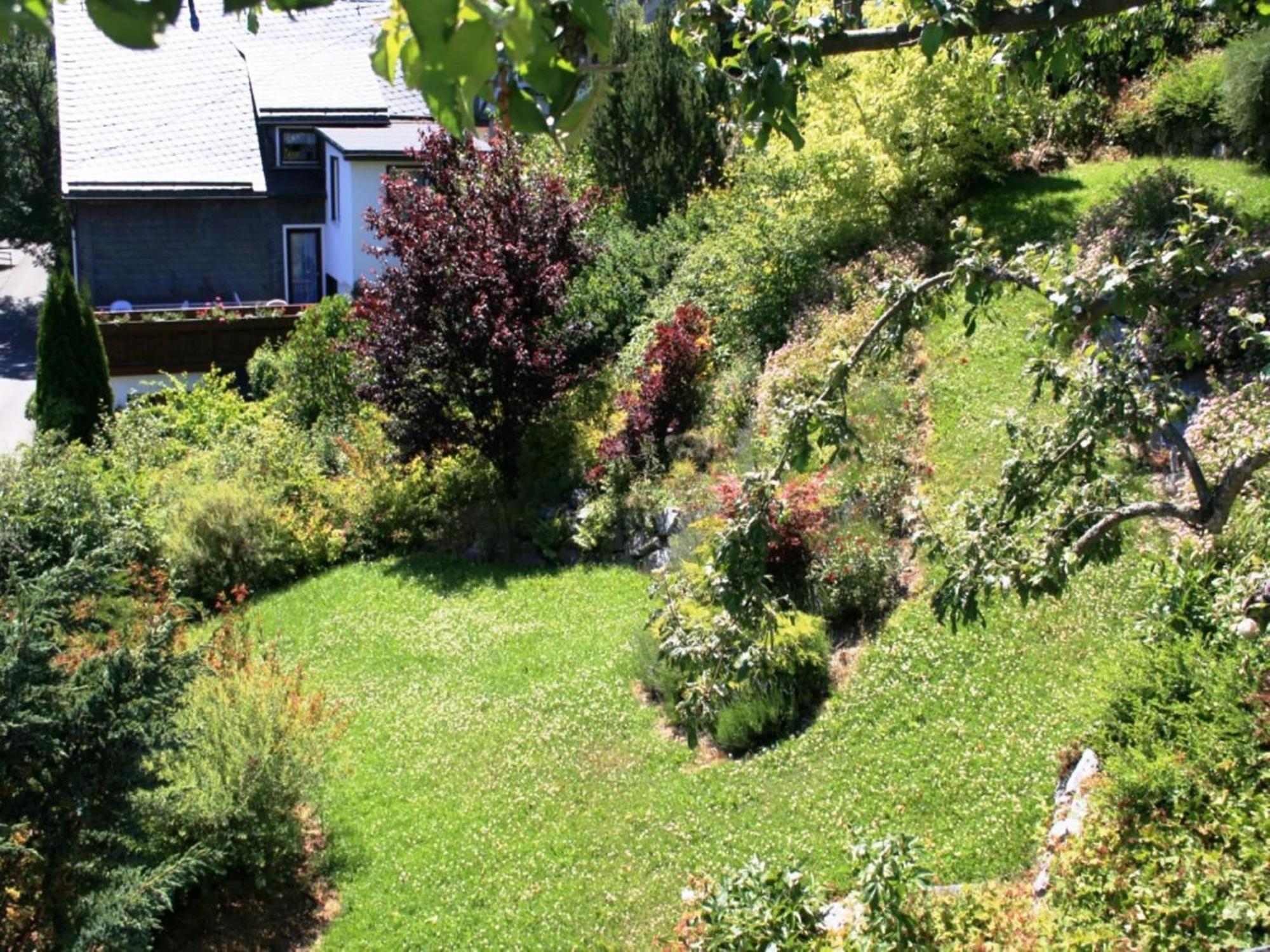 Cosy Apartment In Schwalefeld Near Willingen With Private Terrace Exteriör bild