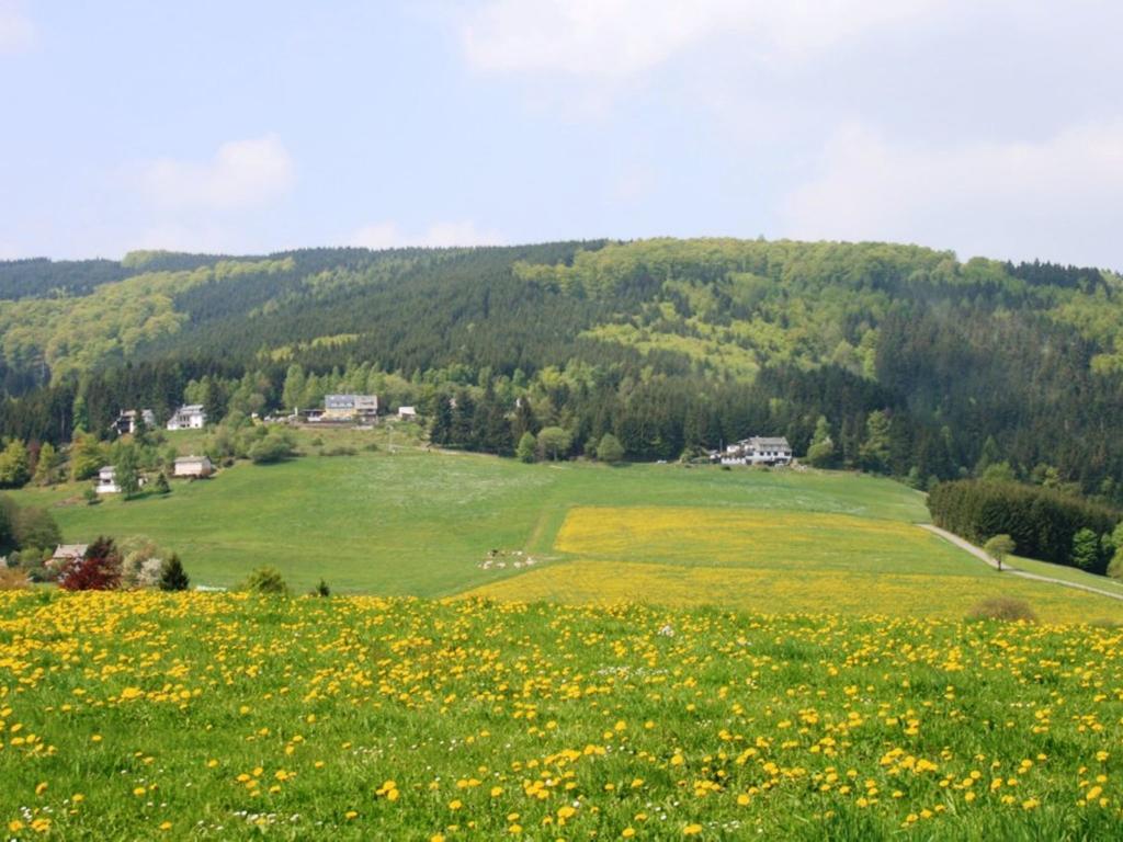 Cosy Apartment In Schwalefeld Near Willingen With Private Terrace Exteriör bild